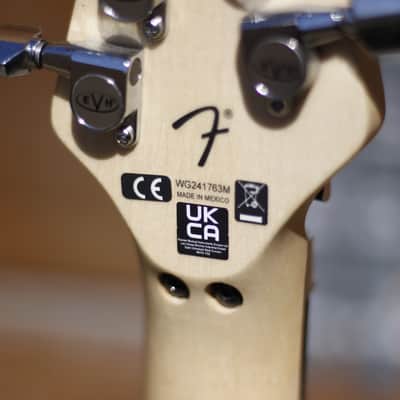 EVH  Wolfgang® Special Striped Series - Black and Yellow image 12