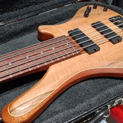 Corpus Buddy Bass 5 Strings - Lodato Guitars Handcrafted image 7