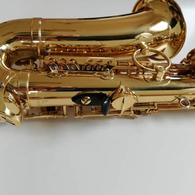 Yanagisawa Alto saxophone 1986 Gold image 13