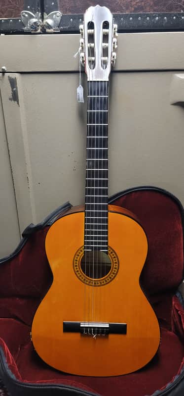 Gremlin GC10 Acoustic 80's image 1
