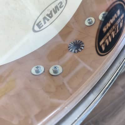Tama AW544 BM - Birds eye maple piccolo image 4