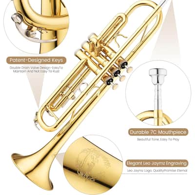 Bb Trumpet for Beginners, Brass Student Trumpet Kit with Case, 7C Mouthpiece, Cleaning Kit, Standard B Flat Instrument - Gold image 4
