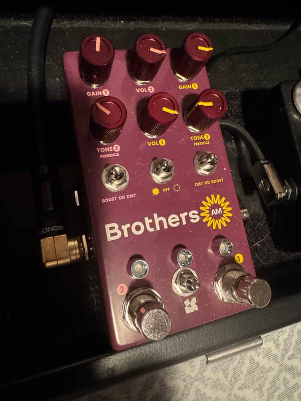 ギター Chase Bliss Audio Brothers AM ギター Chase Bliss Audio Brothers AM Chase Bliss Audio Brothers AM