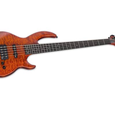 ESP LTD BB-1005QM Burnt Orange with Case image 3