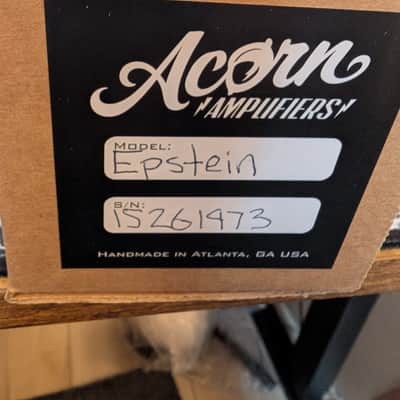 Acorn Amplifiers Epstein didn't kill himself fuzz 2026 - Green image 3