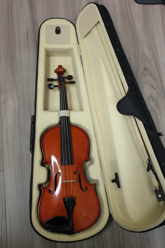 Alfred Stingl by Hofner AS-060-v4/4 Violin image 1