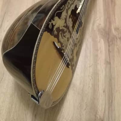 Greek bouzouki & Hardcase & pickup & tuner & 300 backing track with pdf scores 8 string image 11