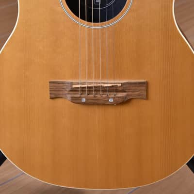 Line 6 Variax Acoustic 300 Series image 7