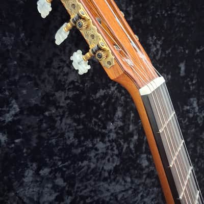 Michael Gee Concert Level Classical Guitar Bild 5
