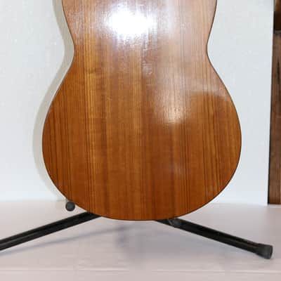 Rare Apollo Parlor No. 006 Acoustic Guitar With Hard Shell Case image 8