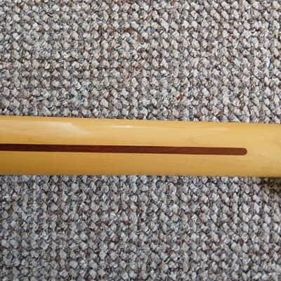 Fender Bullet Single Cutaway with Rosewood Fretboard 1981 - 1982 - Ivory image 10