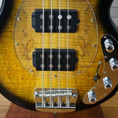 Sterling StingRay Ray34HHSM - Natural Burst Satin image 6