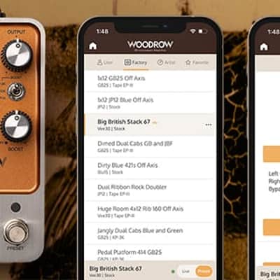 Universal Audio Woodrow ’55 Instrument Amplifier 2023 - Copper / Silver image 4