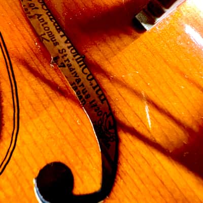 Suzuki Violin 1/4 image 6
