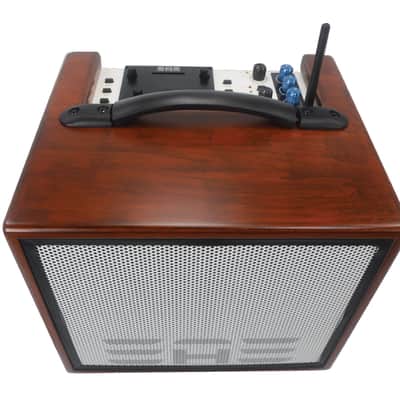 Elite Acoustics EAE D6-8 PRO (Wood) B-stock Acoustic Amp with Six Chan Digital Mixer and Bluetooth *AC Powered image 6