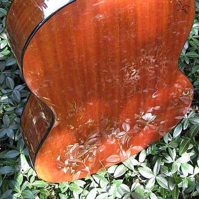 Zager Easy Play USA Parlor Acoustic Mahogany image 2