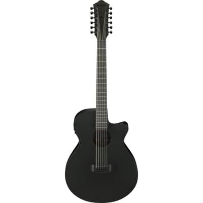 Ibanez AEG1221-BOT 12-String - 12 String Acoustic Guitar image 1