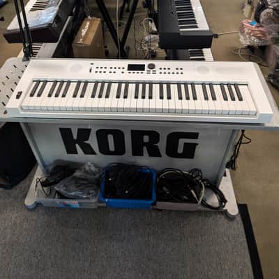 Roland Go:Keys 5 White \ image 2
