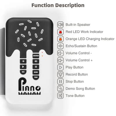 POGOLAB 49 Key Digital Electric Foldable Piano Roll Up Keyboard Rechargeable image 5