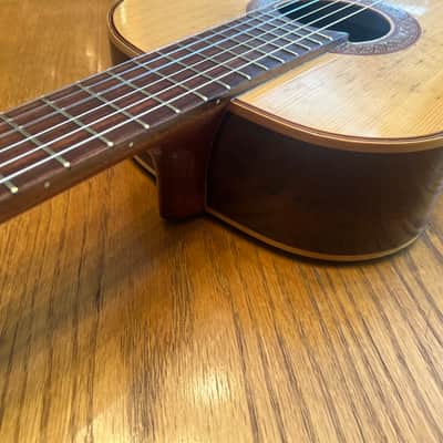 1978 Giannini AWN-21 - Natural Brazilian Rosewood/Jacaranda image 5