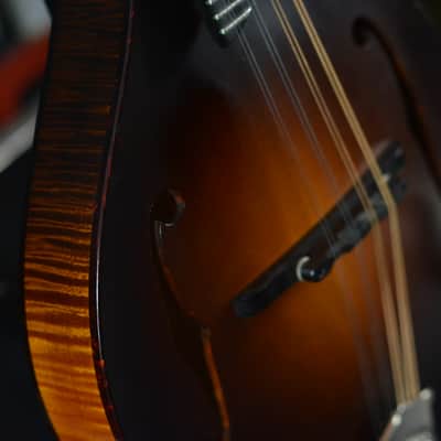 Collings MT Mandolin Left Handed 2014 - Sunburst image 15
