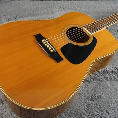 Morris MD-505 Japan Acoustic Guitar image 4