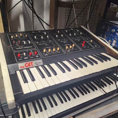 the CAT by Octave 70s Analog Synthesizer - Serviced & Working - Available for Demo image 1