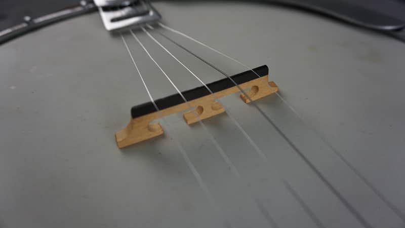 Vintage Tenesy Thumb Standard 5-String Banjo w/ Hard Case | Reverb