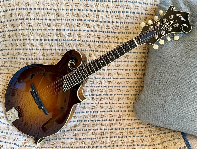 Collings MF5 Mandolin (NAMM Show 2024) image 1