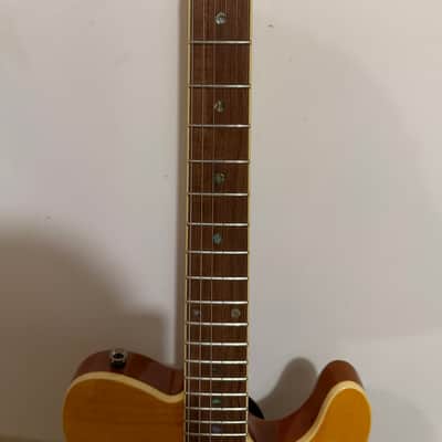 Special Edition Custom Telecaster FMT HH, Laurel Fingerboard, Amber image 4