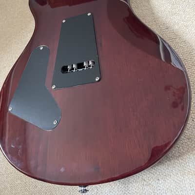 PRS SE Standard 24 Tobacco Sunburst image 10