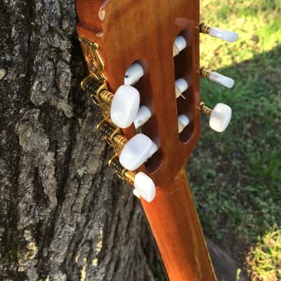 Jose Ramirez R1 Classical Guitar - Solid Cedar Top image 7