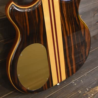 Alembic Stanley Clarke Signature Deluxe short scale 4 string Bass Macassar Ebony - VIDEO DEMO image 15