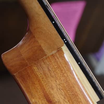 GOLD TONE Mandola 8-string viola style tuning MANDOLIN w/ BAG - Solid Top - B stock image 6