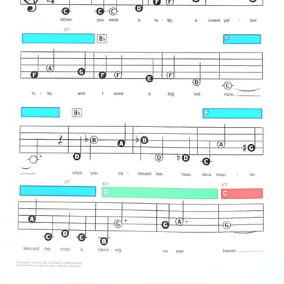 When You Wore a Tulip - Lowrey EZ Play Sheet Music image 2