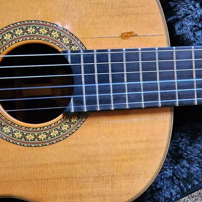 Tama TC10 1978 - Cashew varnish image 11