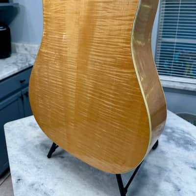 1973 Guild D-44M Solid Maple, Fresh Neck Reset, Bob Colosi Equipped image 13