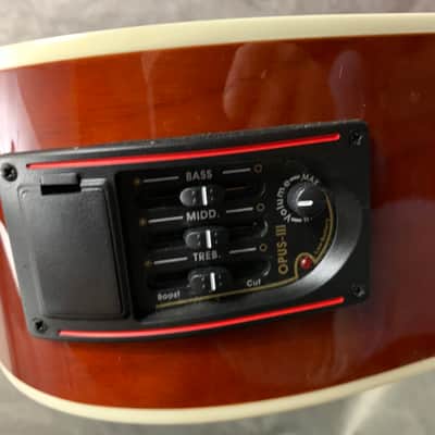 Esteban VL-200 Acoustic/Electric Prototype 2009 image 11
