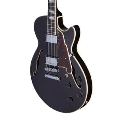D'Angelico Premier SS Semi-Hollow Body Electric Guitar, Black Flake w/Gig Bag image 23