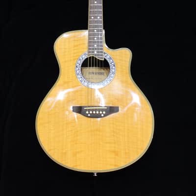 Fernandes FAA-500E | Reverb