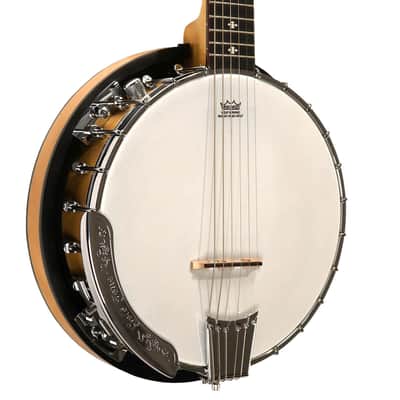 Gold Tone GT-500 6-string Banjitar image 2
