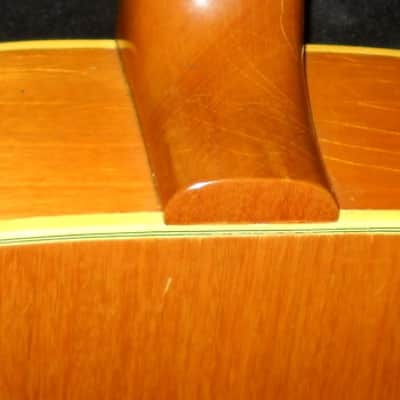 Epiphone Bard 1966 Natural image 8