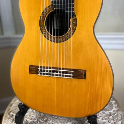 Asturias A18-11 11 String Altoguitar Alto Guitar image 1