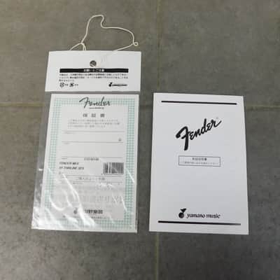 Fender Classic Series '69 Telecaster Thinline | Mexico Made image 8