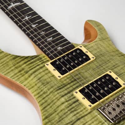 PRS SE Custom 24 Trampas Green image 2
