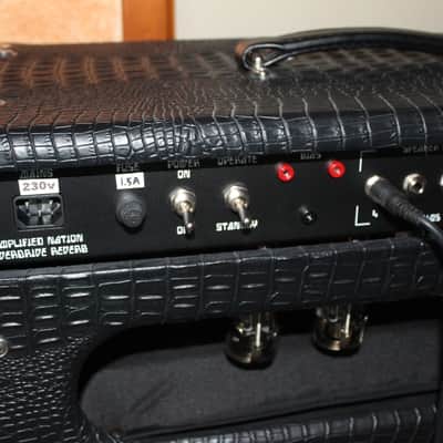 Immagine Amplified Nation Overdrive Reverb 2023 - 50W version - Custom Black Crocodile - Head + 2 x 12" Warehouse WGS12L Cab ! - 11