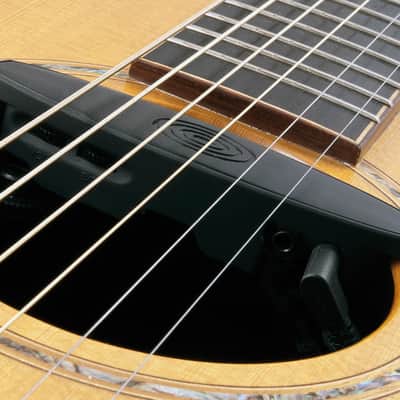 Schertler Magnetico AG6 Acoustic Guitar Pickup image 2