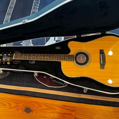 Zager ZAD-900CE  - Natural with Fishman Aura Pro Pickup image 3