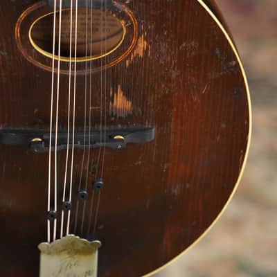 (Used) Vintage 1920 Gibson Spruce/Birch Oval-Hole Teardrop A-Style Mandolin #9066 image 7