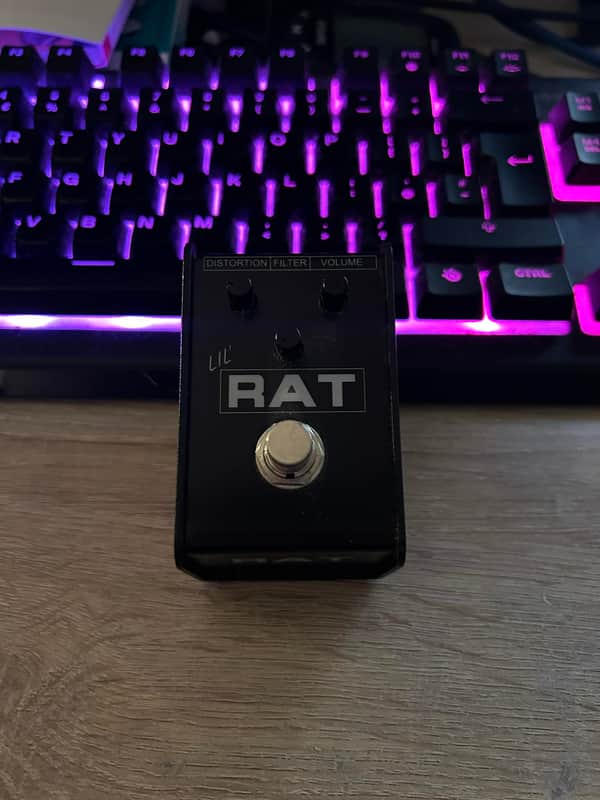 ProCo Lil Rat
